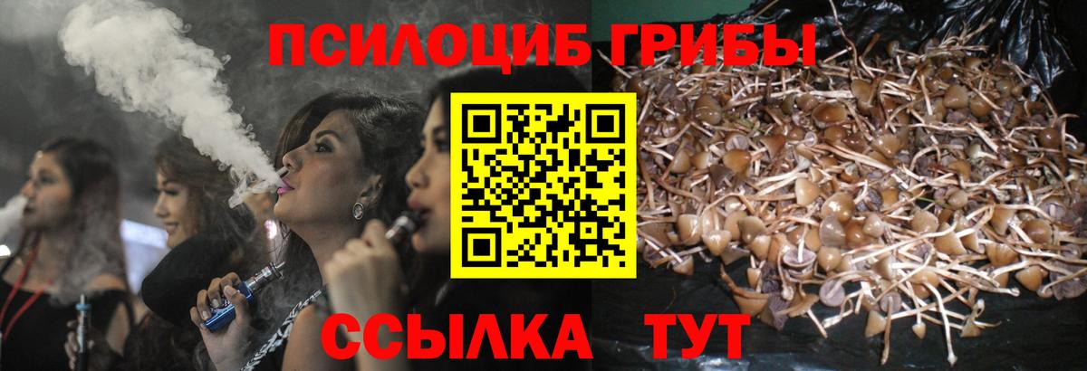 Усть-Илимск  Псилоцибиновые грибы ЛСД  Вход с VPN 